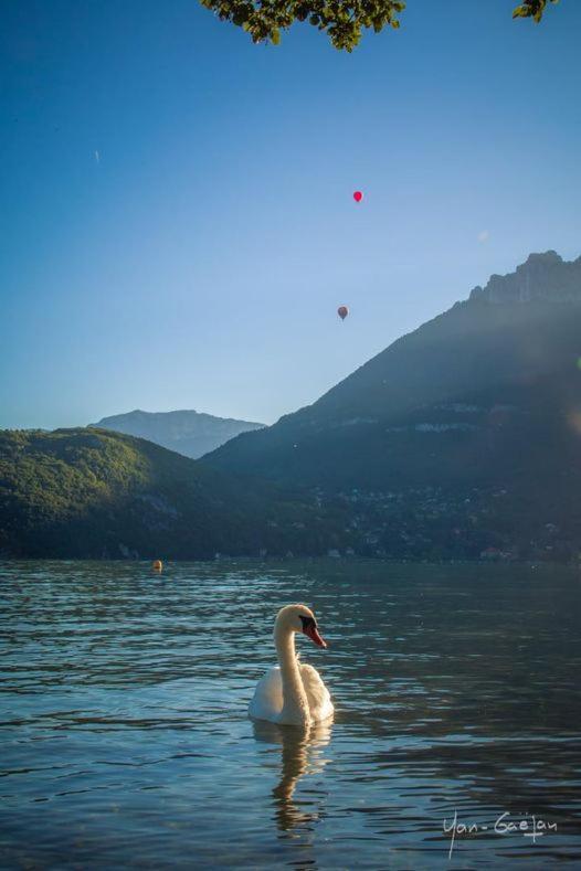 Lpa Annecy Exterior foto