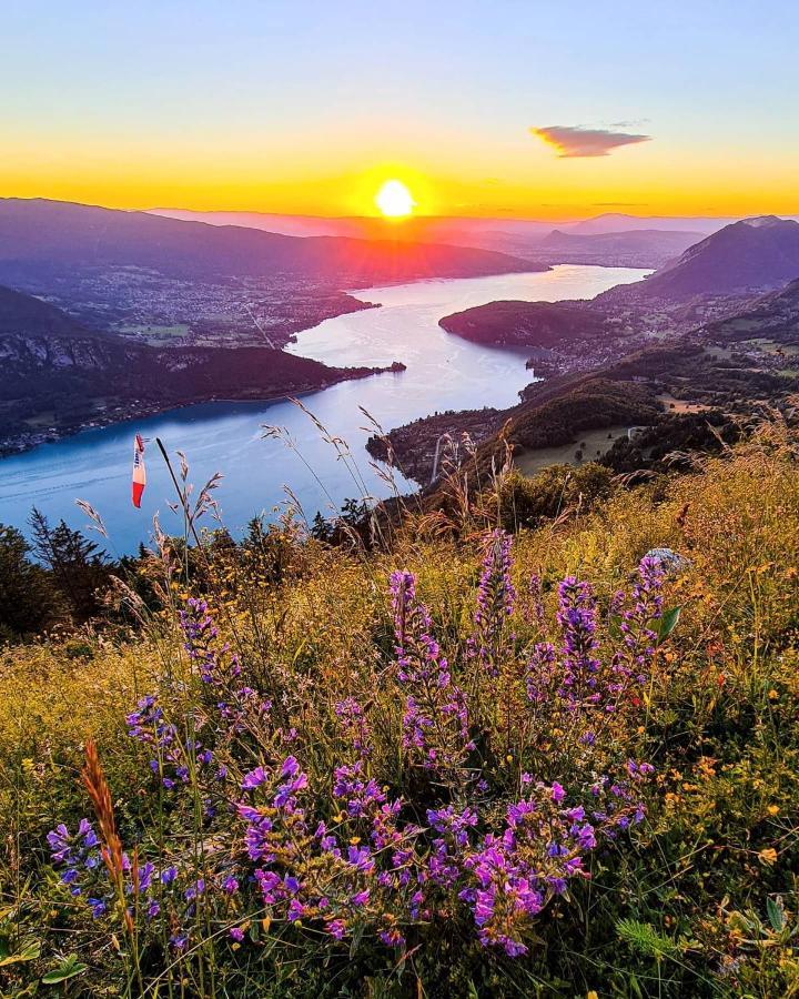 Lpa Annecy Exterior foto